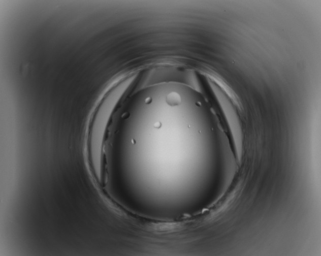 X0000094930853200712061127