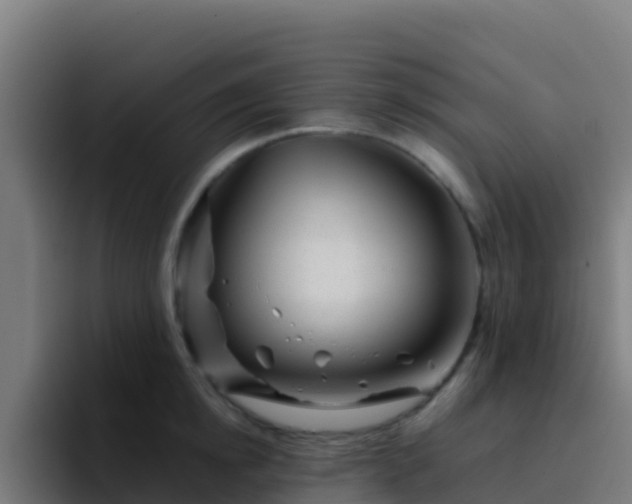 X0000094930854200712061127