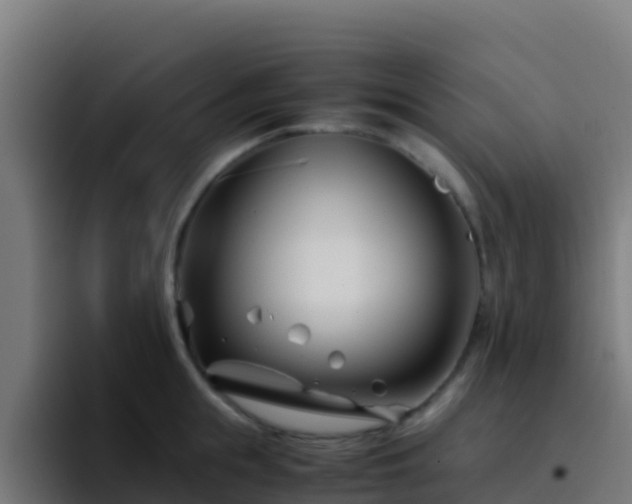 X0000094930855200712061127