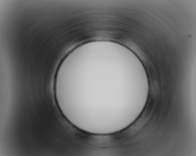 X0000094930856200712061127