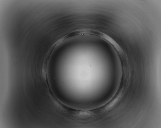 X0000094930857200712061127