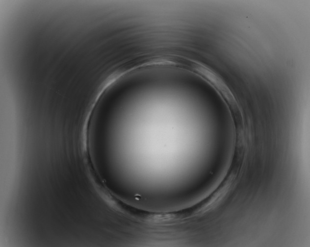 X0000094930858200712061127