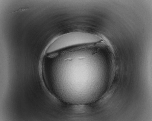 X0000094930859200712061127