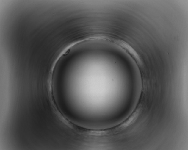 X0000094930860200712061127