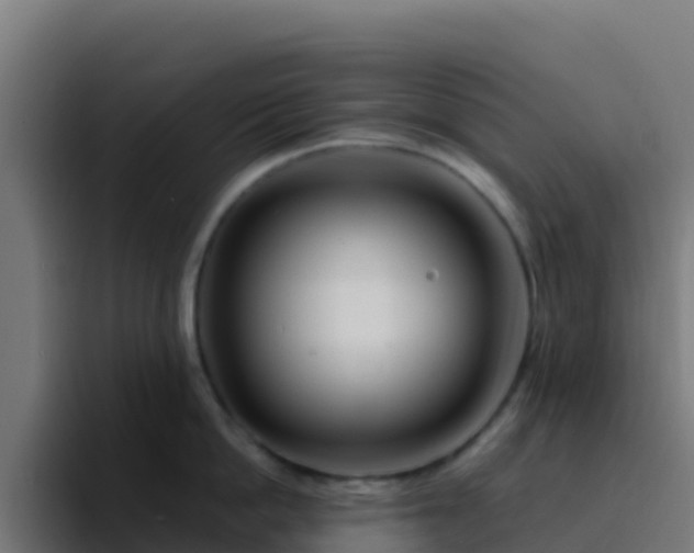 X0000094930862200712061128