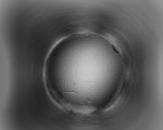 X0000094930863200712061128