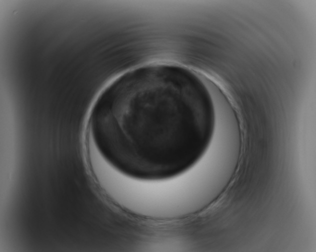 X0000094930864200712061128