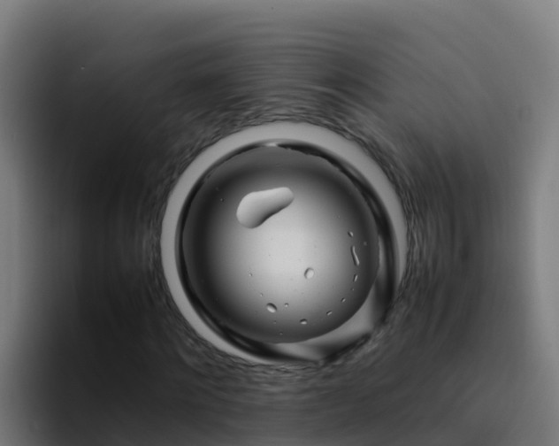 X0000094930868200712061127
