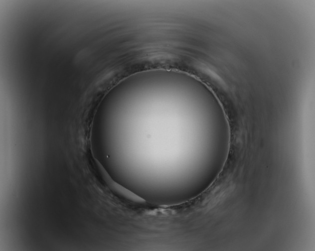 X0000094930869200712061127