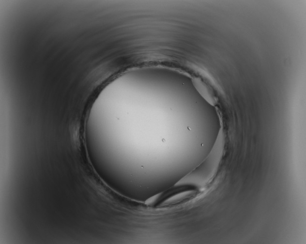 X0000094930873200712061127