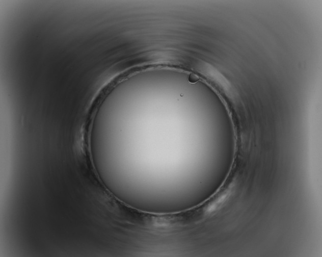 X0000094930875200712061127