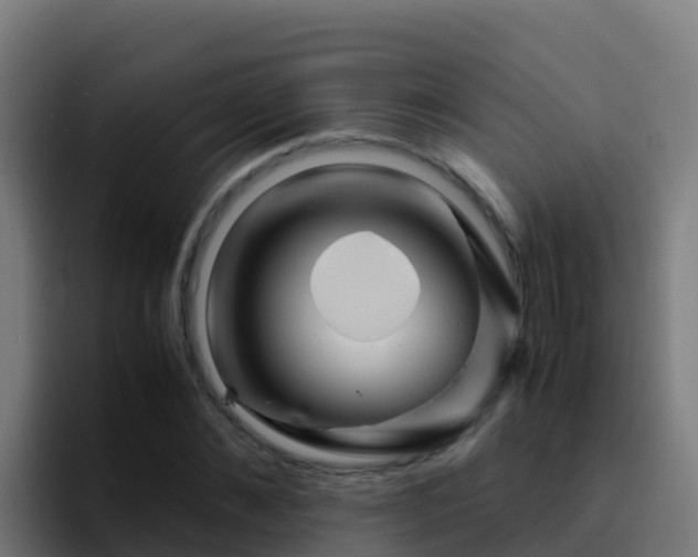 X0000094930876200712061127