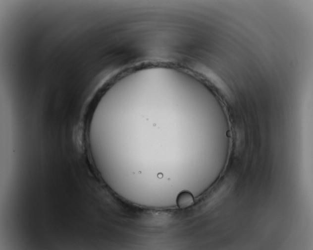 X0000094930878200712061127