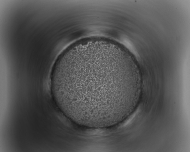 X0000094930879200712061127