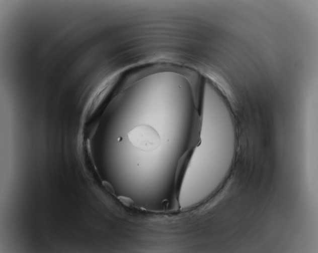 X0000094930880200712061127