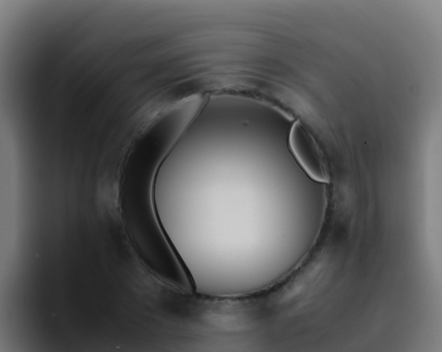 X0000094930881200712061127
