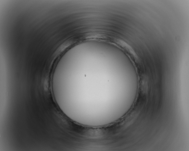 X0000094930882200712061127