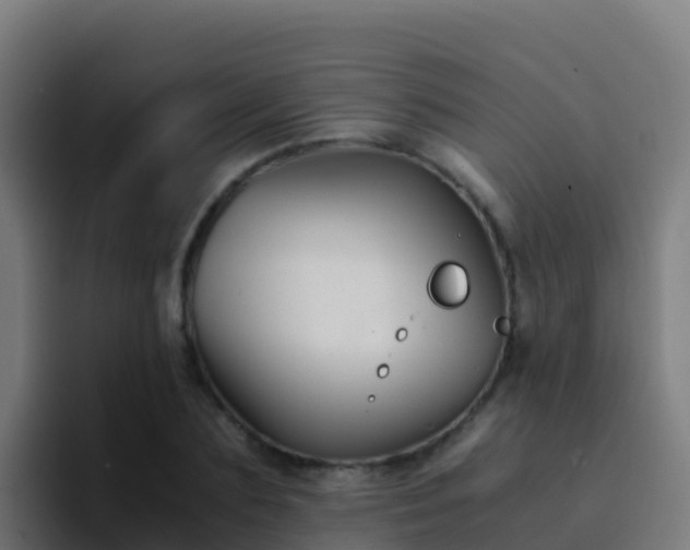 X0000094930883200712061127