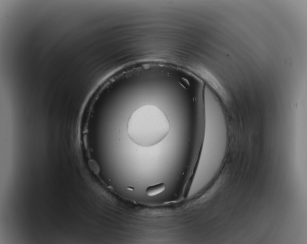 X0000094930884200712061127
