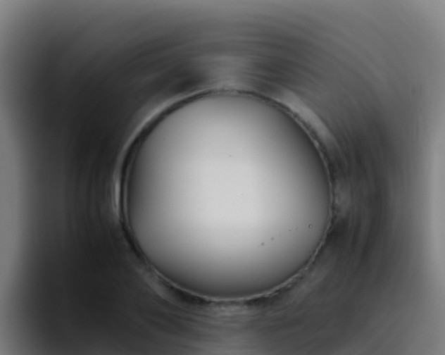 X0000094930886200712061127