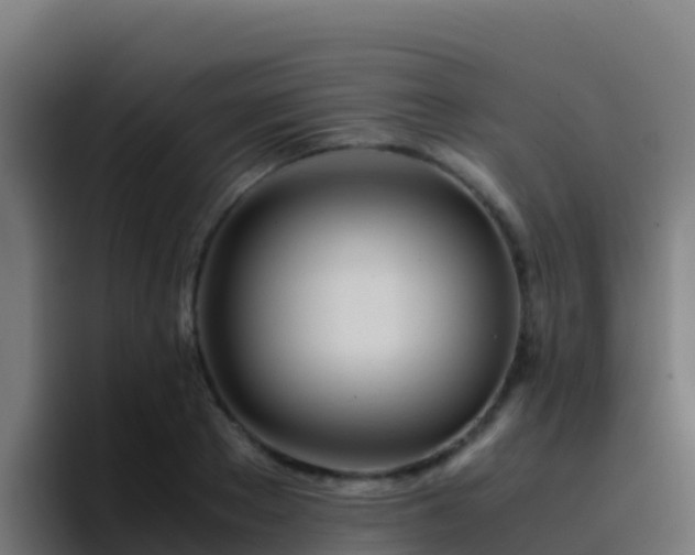 X0000094930889200712061127
