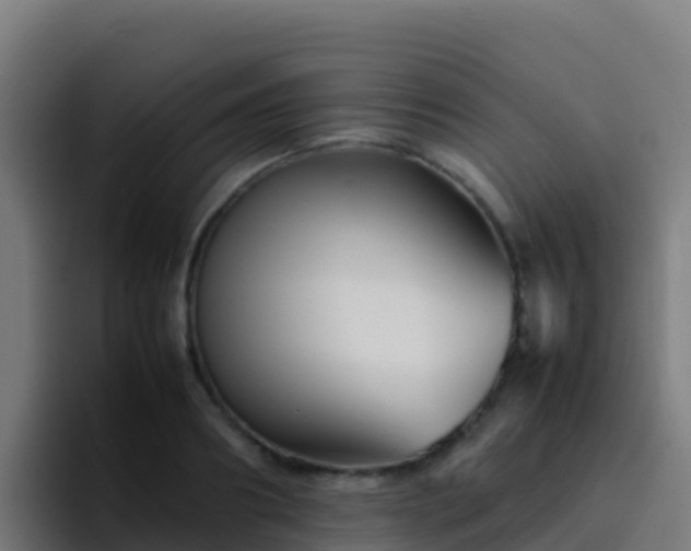 X0000094930890200712061127