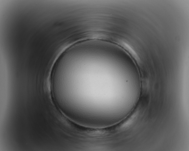 X0000094930891200712061127