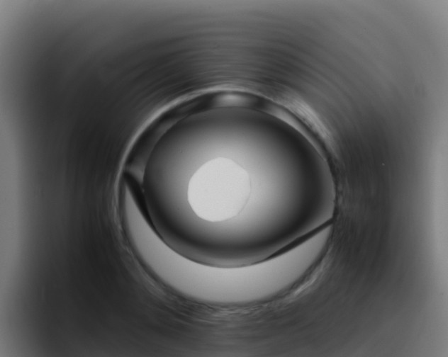 X0000094930892200712061127
