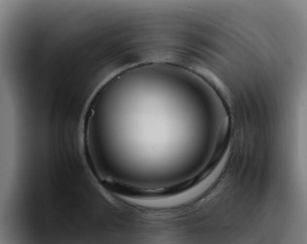 X0000094930894200712061127