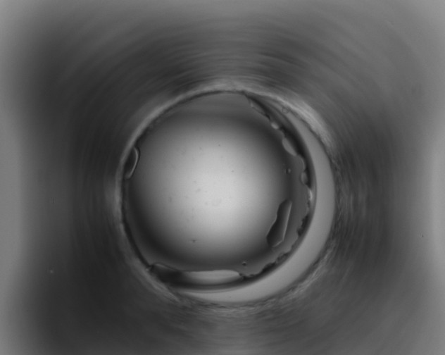 X0000094930896200712061127