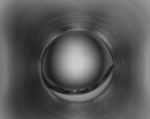 X0000094930898200712061126