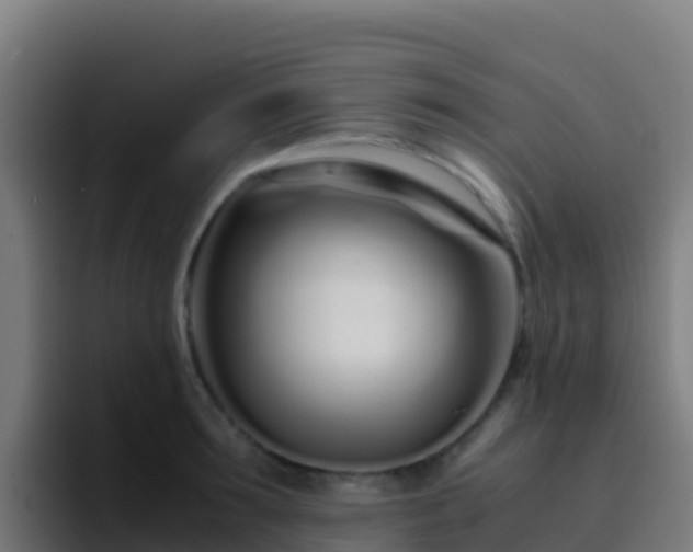 X0000094930899200712061126