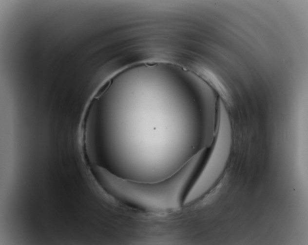 X0000094930900200712061126