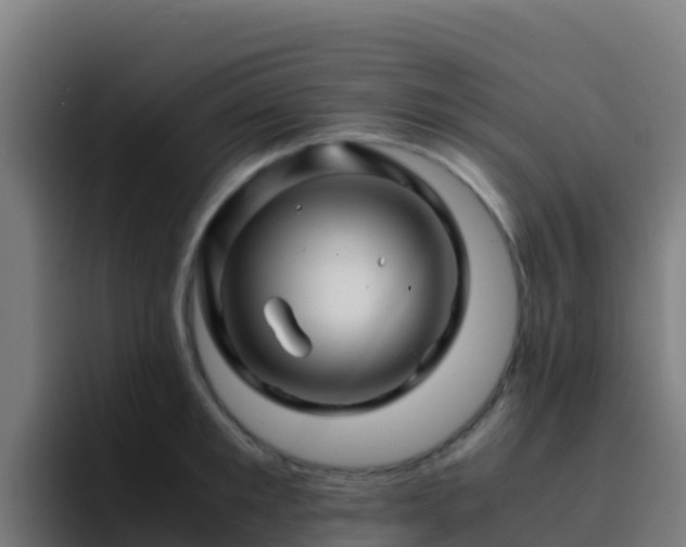 X0000094930901200712061126