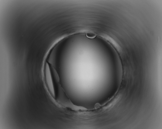 X0000094930902200712061126