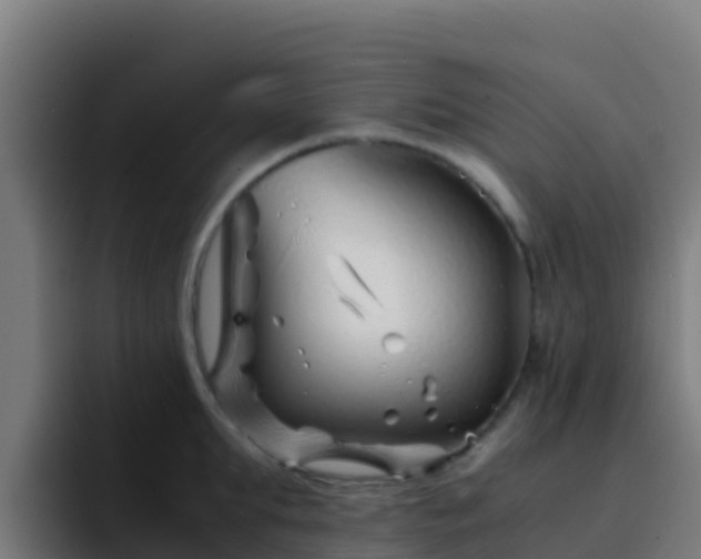 X0000094930903200712061126