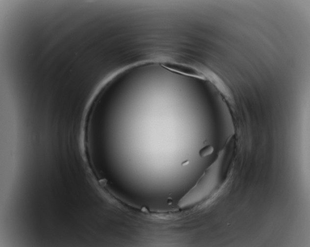 X0000094930904200712061126