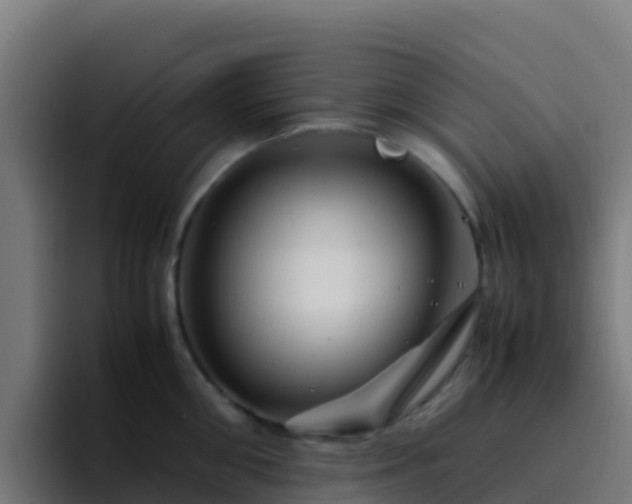 X0000094930906200712061126