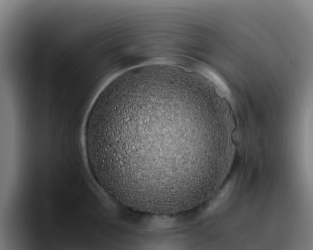 X0000094930907200712061126