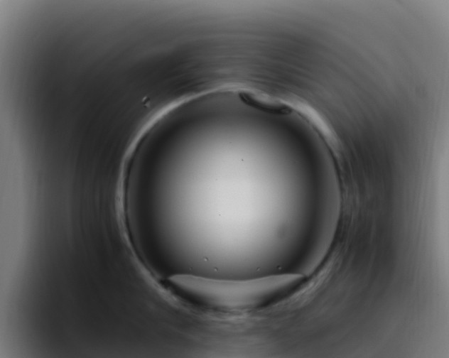 X0000094930910200712061126
