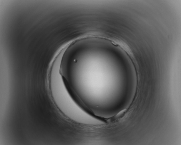 X0000094930912200712061126