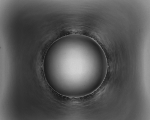 X0000094930913200712061126