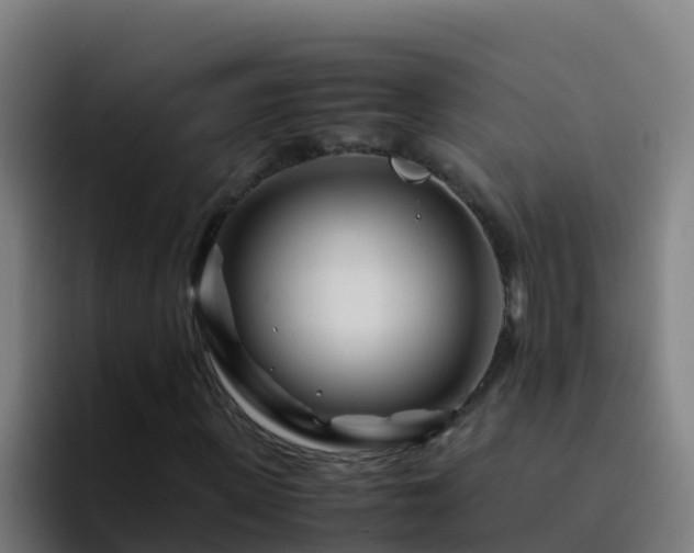 X0000094930915200712061126