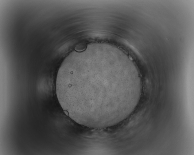 X0000094930918200712061126