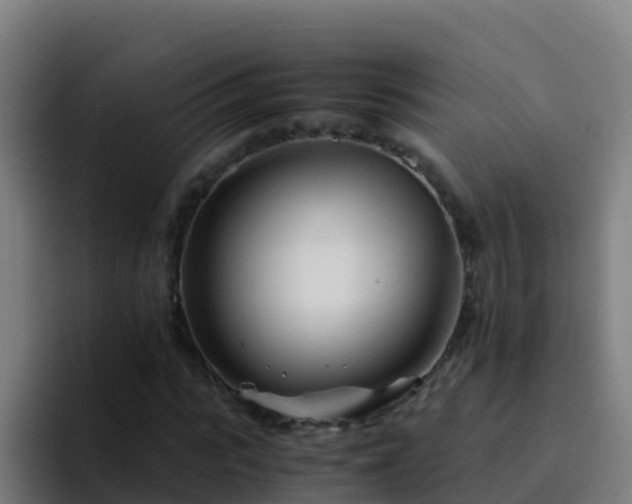 X0000094930919200712061126