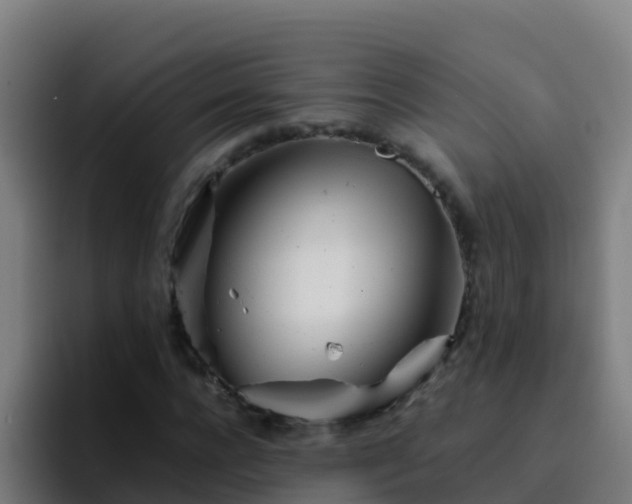 X0000094930920200712061126