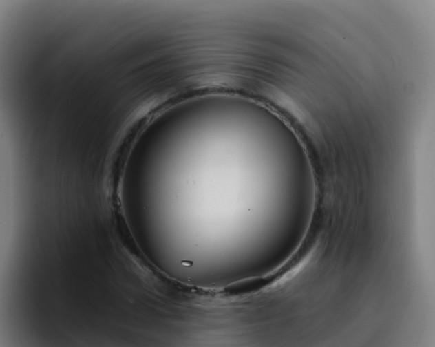 X0000094930922200712061126