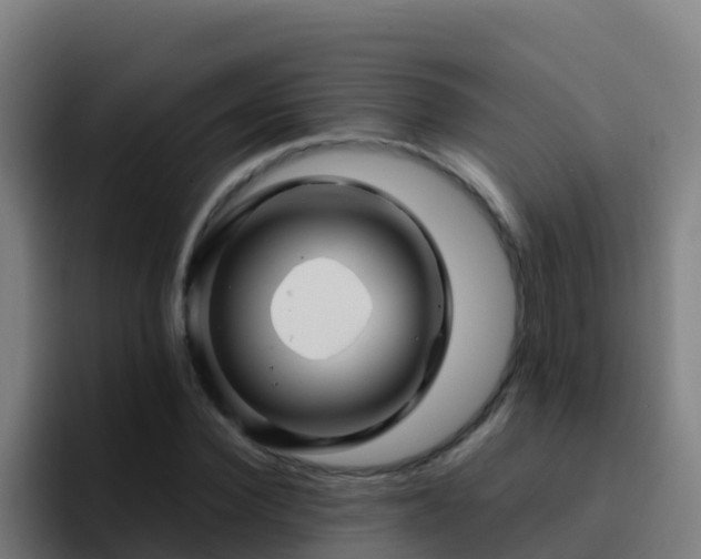 X0000094930924200712061126