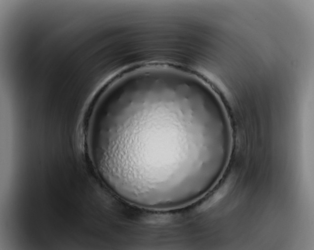 X0000094930925200712061126