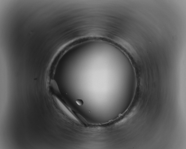 X0000094930926200712061126